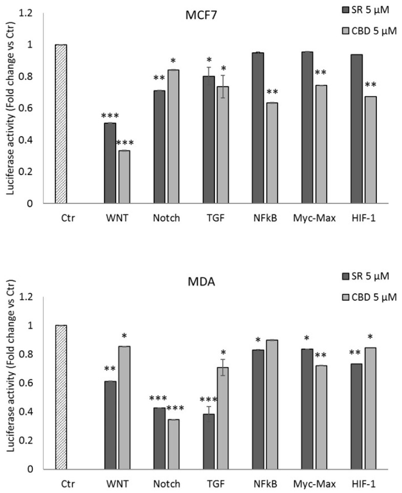 Luciferase activity on selected cancer-related Transcriptional Responsive Elements (TREs). Analysis of luciferase activity of TREs controlled by Wnt (TCF/LEF), Notch (RBP-Jκ), TGFβ (SMAD2/3/4), NfkB, Myc/Max, and HIF-1α in the MCF7 and MDA-MB-231 cell lines. The histograms represent luciferase activity measured at 24 h from transfection with a reporter construct containing the TRE elements and treated with vehicle, SR, or CBD 5 μM for 18 h. Firefly luciferase was normalized to Renilla luciferase reading, and the data were plotted as fold change (mean ± SD of four independent experiments in triplicate; unpaired two-tailed Student’s t-test; * p < 0.05, ** p < 0.01; *** p < 0.005) compared to control cells.