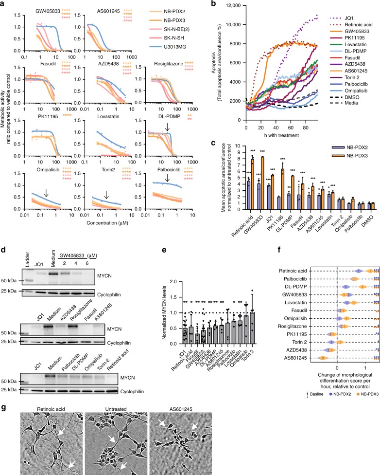 Predicted targets suppressed malignant phenotypes in patient-derived neuroblastoma cells.a Viability response of four neuroblastoma (red) and one glioblastoma (blue, U3013MG) cell lines after 72 h of treatment. Asterisks indicate the level of significance for each neuroblastoma cell line compared with U3013MG. (When applicable, IC50 was used for statistical comparisons, otherwise, the dose is indicated by the arrow.) b, c Apoptotic response (cleaved CASP3/7) of each compound (mean, n = 3) and comparison of compounds at 96 h time point (mean, standard deviation). d Reduction of N-Myc levels after 48 h drug exposure at IC50 concentrations, cropped image. The full image is found in the Source Data file. e Quantified N-Myc levels for both NB-PDX2 and NB-PDX3 (mean, 95% confidence interval; JQ1, GW, n = 16; lovastatin, n = 8; omipalisib, RA, AZD5438, rosiglitazone, fasudil, AS601245, n = 6; palbociclib, DL-PDMP, Torin-2, n = 5; one-sample t-test with Benjamini–Hochberg FDR correction). f IC10 drug effects of neurite outgrowth for NB-PDX2 (blue) and NB-PDX3 (yellow), bootstrapping estimates (n = 1000). A higher morphological differentiation score indicates longer cell protrusions. Stars show significance levels compared with negative control for the respective cell lines. g Representative image of cell protrusions (white arrow) after 72 h of treatment. *p < 0.05, **p < 0.01, ***p < 0.001, ****p < 0.0001.