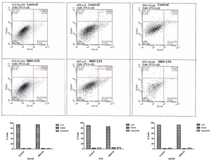 JWH-133 did not induce apoptosis in prostate cancer cells. Du-145, PC3, and LNCaP cells were treated for 24 h and 48 h with the indicated concentrations of JWH-133. After incubation, cells were trypsinized, washed with ice-cold PBS, suspended in 50 mL of binding buffer, stained with 2.5 mL of FITC Annexin V and 2.5 mL of PI for 15 min in the dark, and then measured by flow cytometer. FACS quantification of the total apoptotic cell population, including dead cells and apoptotic cells. Data are presented as the mean ± SD (n = 3).
