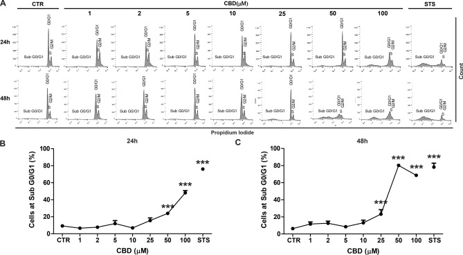 CBD modulates cell death in a concentration and time-dependent manner. SH-SY5Y cells were treated with different CBD concentrations and assessed using the Propidium Iodide cell cycle assay. (A) Representative histogram of the sub-G0/G1 population (an indicative of cell death) of untreated cells (CTR), cells treated with 1, 2, 5, 10, 25, 50 or 100 µM of CBD and 1 µM of staurosporine (STS) for 24 and 48 h. (B) The percentage of SH-SY5Y cells in the sub-G0/G1 phase of the cell cycle after 24 h of treatment with the different CBD concentrations. The results showed that 50 and 100 µM of CBD increased the percentage of cells in the sub-G0/G1 phase. (C) The percentage of SH-SY5Y cells in the sub-G0/G1 phase of the cell cycle after 48 h of treatment with the different CBD concentrations. The results showed that 25, 50 and 100 µM of CBD increased the percentage of cells in the sub-G0/G1 phase. Data are expressed as the mean ± S.E.M. Two-way ANOVA (F8,88 = 22.764) followed by Dunnett’s post-hoc test; ***p < 0.001 relative to the CTR group.