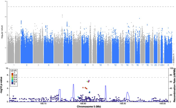 Heaviness of use Manhattan plot and Regional plot.
