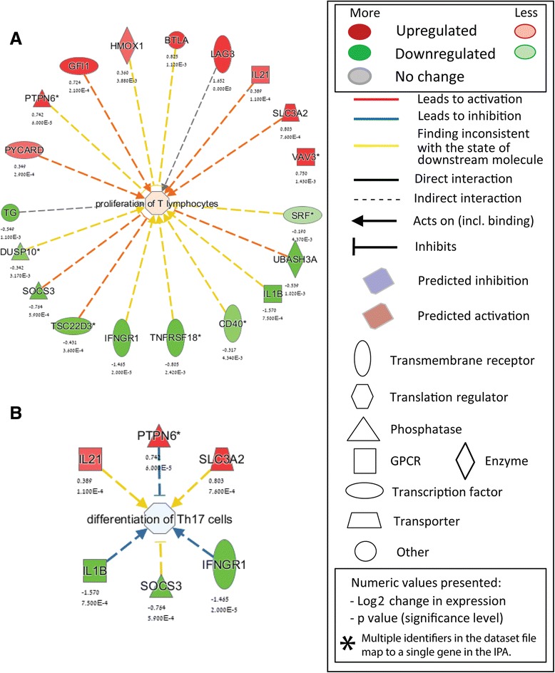 IPA-identified CBD-enriched functional terms in activated TMOG cells. a Genes forming “Proliferation of T lymphocytes” annotation found to be affected by CBD (b). Genes forming “Differentiation of Th17 cells” annotation found to be affected by CBD. The direction of change is color-coded with green implying downregulation and red implying upregulation. Log2 values expressing CBD-induced change vs MOG35-55-only-stimulated cells and respective p values are provided below each transcript name. Explanation of symbols is provided in the Legend
