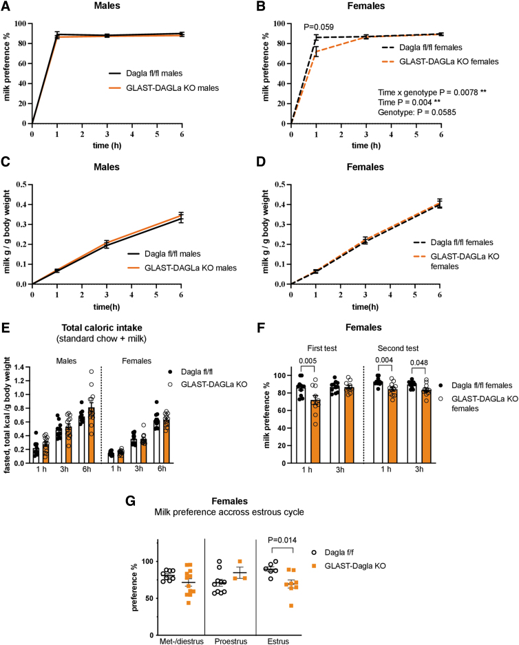 Milk preference is reduced in GLAST-Dagla KO females but not males. (A) Cumulative milk (5%) preference over the total amount of liquid consumed was not changed in male GLAST-Dagla KO mice compared with WT littermate controls [genotype F (1, 21)=1.305, p=0.266; time F (1.068, 22.44)=0.635, p=0.444; time×genotype F (2, 42)=0.216, p=0.807] (A), but milk preference was reduced in female GLAST-Dagla KO mice compared with controls with a significant time and genotype interaction [time×genotype F (2, 38)=5.533, p=0.008; genotype F (1, 19)=4.052, p=0.0585; time F (1.079, 20.50)=10.1, p=0.004] (B). Genotype did not affect milk intake neither in male [genotype F (1, 21)=0.5321 p=0.474; time F (1.307, 27.44)=524.1, p<0.0001; time×genotype F (2, 42)=0.154, p=0.858] (C) nor in female mice [genotype F (1, 20)=0.1932, p=0.6650; time F (1.441, 28.82)=633.8, p<0.0001; time×genotype F (2, 40)=0.054, p=0.948] (D). Total caloric intake in the milk preference test was also not influenced by genotype in neither males [genotype F (1, 21)=0.824, p=0.376; time F (1.688, 35.44)=410.7, p<0.0001; time×genotype F (2, 42)=0.064, p=0.938] nor in females [genotype F (1, 20)=0.007, p=0.935; time F (1.450, 29.00)=362.9, p<0.0001; time×genotype F (2, 40)=0.353, p=0.705] (E). Milk preference was reduced in female GLAST-Dagla KO mice compared with controls in the first hour of the test in two subsequent milk preference tests conducted a week apart. First test: genotype F (1, 19)=5.201; p=0.0343, time F (1, 19)=6.537, p=0.0193; interaction F (1, 19)=5.217, p=0.034. Second test: genotype F (1, 19)=8.986, p=0.007; time F (1, 19)=6.019, p=0.024; interaction F (1, 19)=2.493, p=0.131. (F) Milk preference significantly reduced the estrus stage of the cycle in female GLAST-Dagla KO compared with control mice at 1 h time-point, two cohorts of mice were pooled; met-, diestrus p=0.158, proestrus p=0.084, significant differences in estrus p=0.014 (G). Two-way ANOVA followed by Sidak's multiple comparison test, n=10–13 animals/group, *p<0.05 post hoc test (A–F). Mann–Whitney U or Student's t-tests (n=3–12/subgroup) (G). Data points represent single mice, values represent mean±SEM.