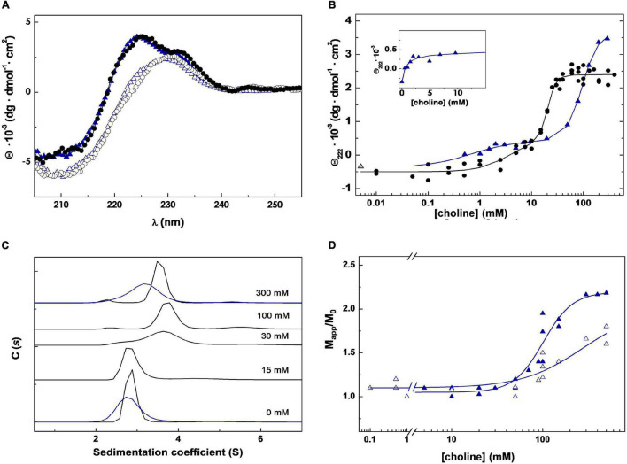 Choline binding to Skl NAM-amidase. (A) Far-UV CD spectra of Skl WT (black circles) and the Y264H mutant (blue triangles) in the absence and presence of 300 mM choline (open and solid symbols, respectively). (B) CD choline titration into Skl WT (circles) and Y264H mutant (triangles) monitored by measuring the ellipticity variation at 222 nm as a function of ligand concentration. Solid lines are the theoretical fit of experimental data with the Hill equation extended to two sets of sites. The first phase of the Y264H titration curve is shown in the inset. (C) Monomer-dimer distribution of Skl WT (black lines) and Y264H mutant (blue lines) at choline concentrations indicated in panel labels, determined by sedimentation velocity under conditions of titration experiments. C(s) represents the sedimentation coefficient distribution. (D) Dependence of the relative molecular mass (Mapp/M0) of Skl Y264H mutant with choline concentration at pH 6.5 and 8.0 (open and full symbols, respectively). Mapp is the average molecular mass determined by equilibrium sedimentation and M0 the monomer molecular mass. Data were acquired at 20°C in PB (pH 6.5), except for measurements at pH 8.0 (D), performed in 50 mM Tris–HCl buffer.
