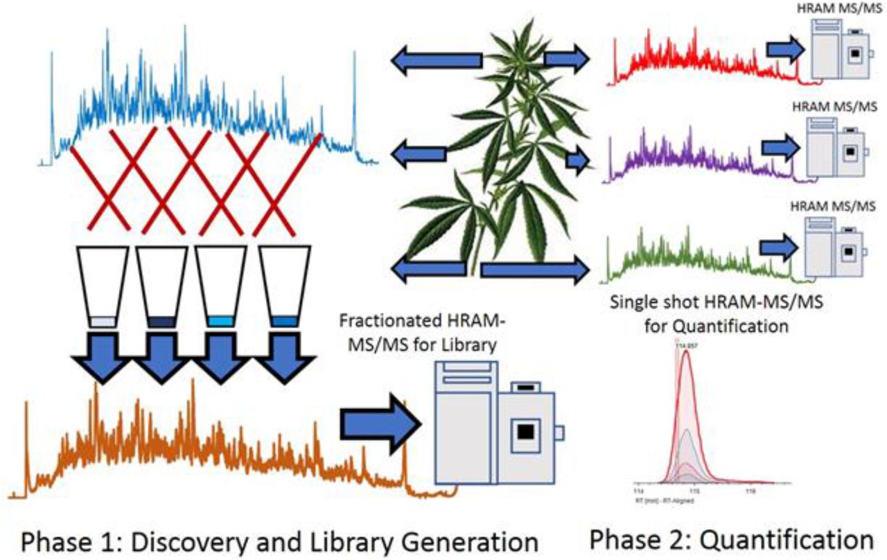 Library generation strategyFigure 1) An overview of the proteomics strategy. Combined material was heavily fractionated in order to develop library data. individual materials were separately analyzed by single-shot analysis for quantification.