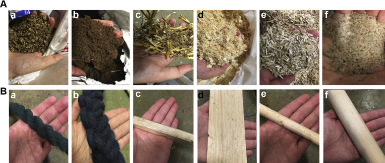 (A) The 6 tested litter types: (a) crushed straw pellets (RS MUSTANG, Enköping, SE), (b) peat (RS MUSTANG, Enköping, SE), (c) straw (Smådjurshalm LUPUS, Granngården Uppsala, SE), (d) wood shavings (Kutterspån GRANNGÅRDEN, Uppsala, SE), (e) hemp shavings (Lättströ GRANNGÅRDEN, Uppsala, SE), and (f) fine-grained sand (0–0.03 mm, RÅDASAND, Djur-Hobby Uppsala, SE). (B) The 6 tested perch types: (a) narrow rope (1.8 cm in diameter), (b) wide rope consisting of 3 narrow ropes braided together (4.5 cm in diameter), (c) narrow flat wood (1.5 × 1.5 cm), (d) wide flat wood (6.7 × 0.8 cm), (e) narrow round wood (1.5 cm in diameter), and (f) wide round wood (3.5 cm in diameter).