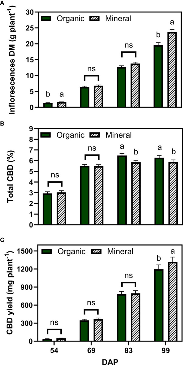 Least square means (±standard error) of (A) inflorescence dry matter (DM), (B) total CBD concentration, and (C) total CBD yield at zero moisture for the organic and mineral fertilizer treatments and four harvest dates (Days after planting, DAP). For each harvest date, means with at least one identical letter are not significant different from each other according to Fisher’s LSD test with α=0.05. Values with (ns) are not significantly different from each other according to global F-test.
