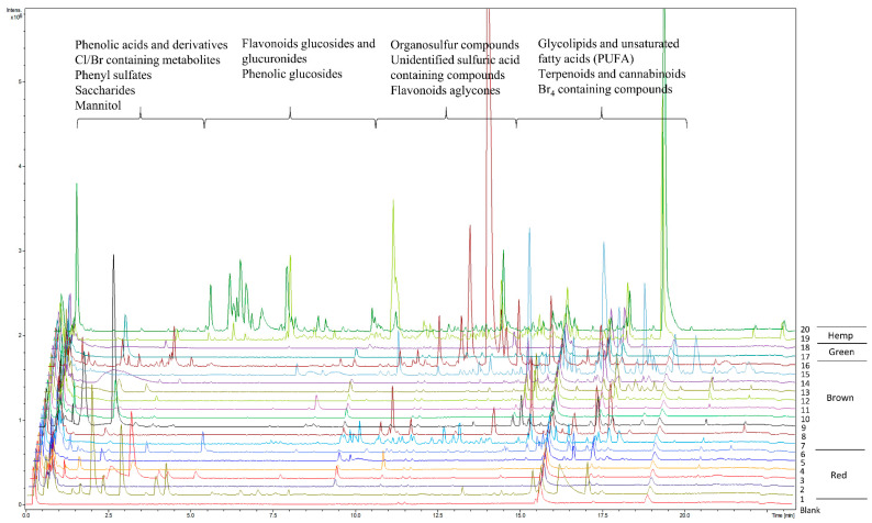 Metabolic profiles of red, brown and green seaweeds and hemp of the Extract 2 group, measured using untargeted LC-MS. Blank sample represents the extraction solvent used for the extraction of metabolites in samples. Red seaweeds: (1) Asparagopsis taxiformis, (2) Chondrus crispus, (3) Furcellaria lumbricalis, (4) Polyides rotundus, (5) Dumontia contorta, (6) Delesseria sanguinea. Brown seaweeds: (7) Saccharina latissima, (8) Gracilaria vermiculophylla, (9) Fucus serratus, (10) Fucus spiralis, (11) Fucus evanescens, (12) Alaria esculenta, (13) Laminaria digitata, (14) Chorda filum, (15) Dictyota dichotoma, (16) Sargassum muticum. Green seaweeds: (17) Ulva intestinalis, (18) Ulva sp. Hemp: (19) Cannabis sativa L. variety Finola, (20) Cannabis sativa L. variety Futura 75.