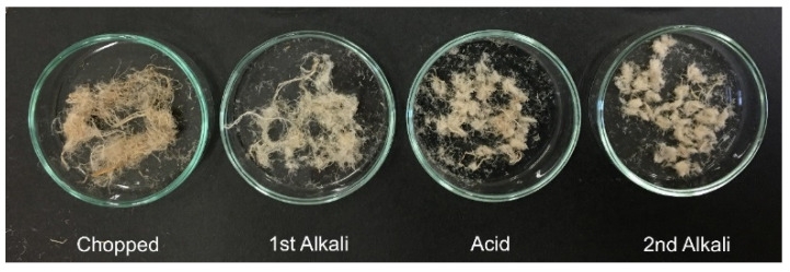 Fiber samples showing the color change after different steps of the chemical pretreatment.