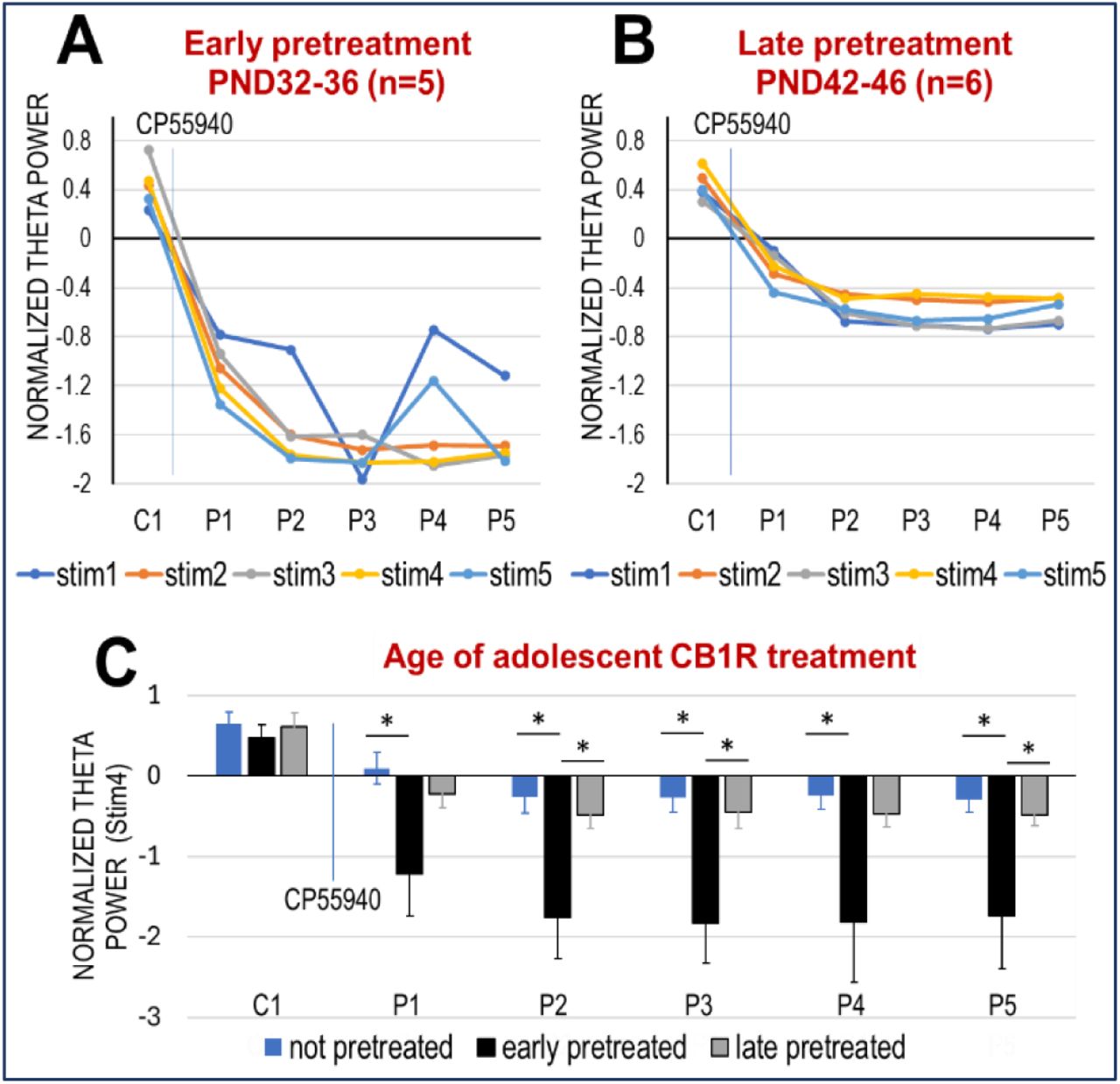 Effect of adolescent age of CB exposure on network oscillations in adulthood. A-B. Decrease of theta power (group averages) after acute CP-55940 injection in adult rats that had been exposed to the same drug (0.3 mg/kg, daily for 5 days) between PND 32-36 (A) or PND 42-46 (B). C. Comparison of changes in theta power elicited by stim4 after acute CP-55940 injection in CB naïve rats with rats exposed to CB1R agonist at different ages in adolescence (early-PND 32-36 or late-pretreated PND 42-46).