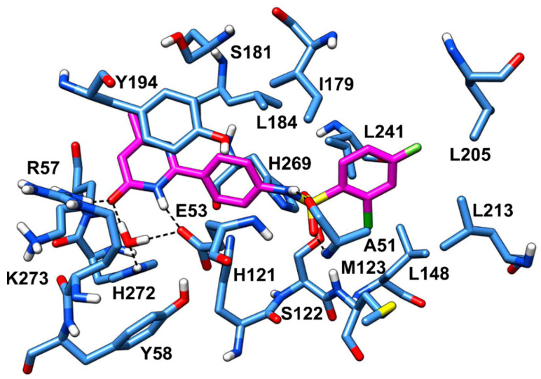 Minimized average structure of VS1 within MAGL binding site.