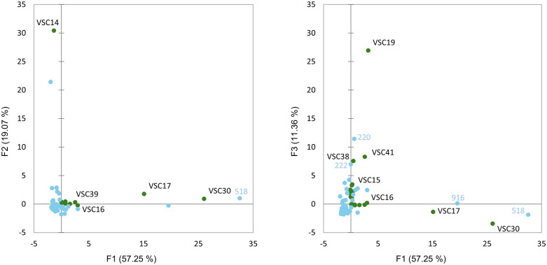 Principal component analysis biplot of type III samples (blue) based on VSC (green) chemistry.
