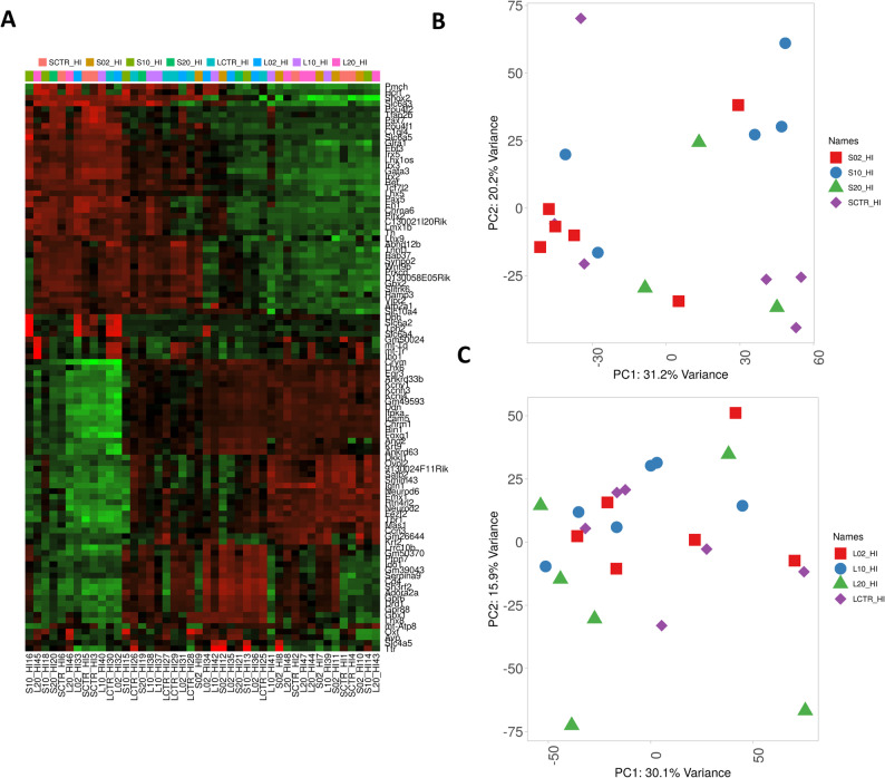 Gene expression profile differentiation for the analysed samples. A - heatmap with hierarchical clustering of samples and gene expression profiles. B - PCA for short-term (S) CBD-treated mouse hippocampus; C - PCA for long-term (L) treated mouse hippocampus