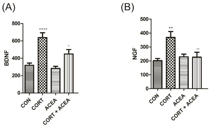 The influence of the 7-day administration of ACEA on biomarkers’ level [pg/mL] in urine: (A) brain-derived neurotrophic factor (BDNF), and (B) nerve growth factor (NGF) in rats subjected to a 14-day administration of corticosterone (CORT). Each experimental group consisted of 12 animals. Values are expressed as the mean ± S.E.M. **** p < 0.0001, ** or ^^ p < 0.01., ^ p < 0.05. ^ significantly different from the CORT group. One-way ANOVA: for BDNF: F(3.44) = 15, p < 0.0001, and for NGF: F(3.44) = 6.3, p < 0.01; CON, control.