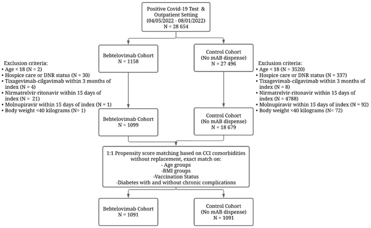 Study cohort selection.