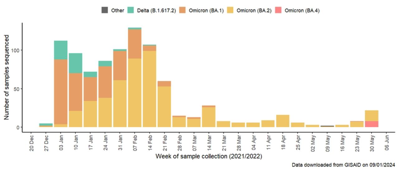SARS-CoV-2 variant distribution in Georgia, data from GISAID14