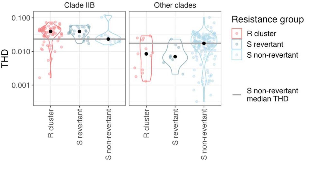 Colistin resistance does not impart a fitness cost in clade IIB strains.In clade IIB, resistant isolates are more fit than corresponding susceptible non-revertants. On the other hand, resistant isolates in other clades are less fit than susceptible non-revertants in those clades. Significance defined as Wilcox p < 0.05. R=resistant; S=susceptible; THD=time-scaled haplotypic density.