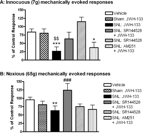 Intrathalamic administration of the CB2 receptor agonist JWH-133 inhibited (A) innocuous and (B) noxious mechanically evoked responses of VPL thalamic neurons in SNL rats but not sham-operated rats. JWH-133 (30 ng in 500 nL) was administered intra-VPL, alone or in combination with the CB2 receptor antagonist SR144528 (48 ng) or the CB1 receptor antagonist AM251 (48 ng) in sham-operated and SNL rats. Innocuous (7 g) and noxious (65 g) mechanically evoked responses were recorded at 15 and 30 min after drug administration, respectively. Data were analysed using the Kruskall–Wallis test followed by Dunn's post hoc test. *P < 0.05, **P < 0.01, ***P < 0.001 vs. pooled vehicle; ###P < 0.001 vs. SNL: JWH-133; $$P < 0.01 vs. Sham: JWH-133 (n = 46–115 neurons in five or six rats per data set). Vehicle treatment data from sham and SNL rats were not statistically different and were pooled for clarity of presentation.