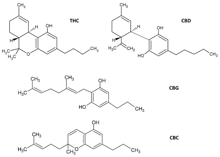 Molecular structures of C. sativa cannabinoids. The two main cannabinoids are CBD, cannabidiol and Δ9-tetrahydrocannabinol (THC). Additionally shown are CBG, cannabigerol and cannabichromene (CBC). Several other structures of phytocannabinoids are available in [14], for example.
