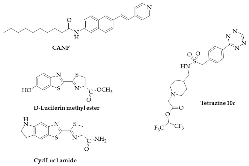 Structure of probes used for enzyme activity evaluation in living cells.