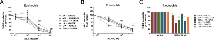 Concentration-response curves for BLX-3887 and NDGA in eosinophils and neutrophils.(A,B) Eosinophils (106 cells/ml) or (C) neutrophils (5 × 106 cells/ml) were pre-incubated with the indicated concentrations of (A) BLX-3887 or (B,C) NDGA for 5 minutes. A cocktail of fatty acids and AEA (3 μM of each) was then added to the cell suspensions for 15 minutes. Incubations were stopped after 15 minutes with 1 volume of a cold (-20°C) solution (MeOH containing 2 ng of LTB4-D4 and 15-HETE-D8). Samples were processed and analyzed by LC-MS/MS for 15-LO metabolite biosynthesis as described in Materials and methods. The data represents the mean (± SEM) of at least three separate experiments. A two-way ANOVA with Sidak’s multiple comparisons test was performed to obtain p values. ** p < 0.01; *** p < 0.001; **** p < 0.0001 vs the corresponding 15-LO metabolite without inhibitor (vehicle).