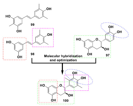The chemical structure of dimethylcatechol catechin 100 with improved safety and antioxidant properties.