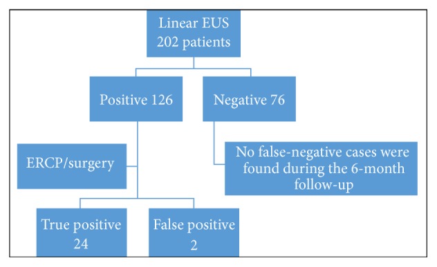 Patient flow chart. One hundred twenty-six patients were positive for common bile duct stones according to linear endoscopic ultrasound (EUS) findings. Of 76 patients, there were no false-negative cases identified during the 6-month follow-up. ERCP, endoscopic retrograde cholangiopancreatography.