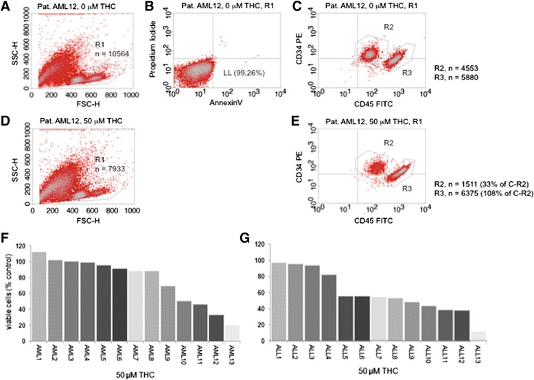Reduction of the viable leukemia cohort upon treatment with THC. a FSC/SSC scatter plot was used to gate (R1) the viable cell population. Counted cells (total) n = 30,000. b Viability of the R1-gated population was confirmed in an annexin V/PI-based apoptosis assay (viable population located in the lower left (LL) section of a quadrant plot). c Immunophenotyping assay to distinguish the CD34 (PE conjugated) and/or CD45low (FITC conjugated) positive leukemia population is shown. This cohort was followed prior to and 48 h after exposure to THC to determine reduction of viable cells in response to THC (d and e). A representative patient sample is shown. Percental waterfall plots are provided for AML (f) and ALL (g) for all tested patient samples