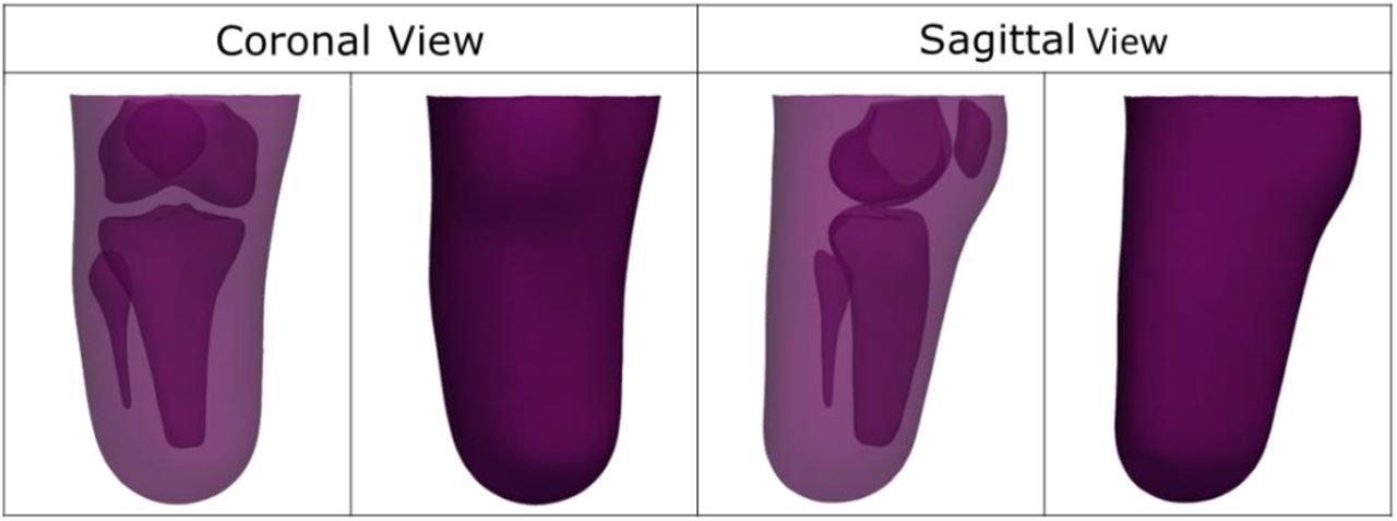 Mean shape of the training data