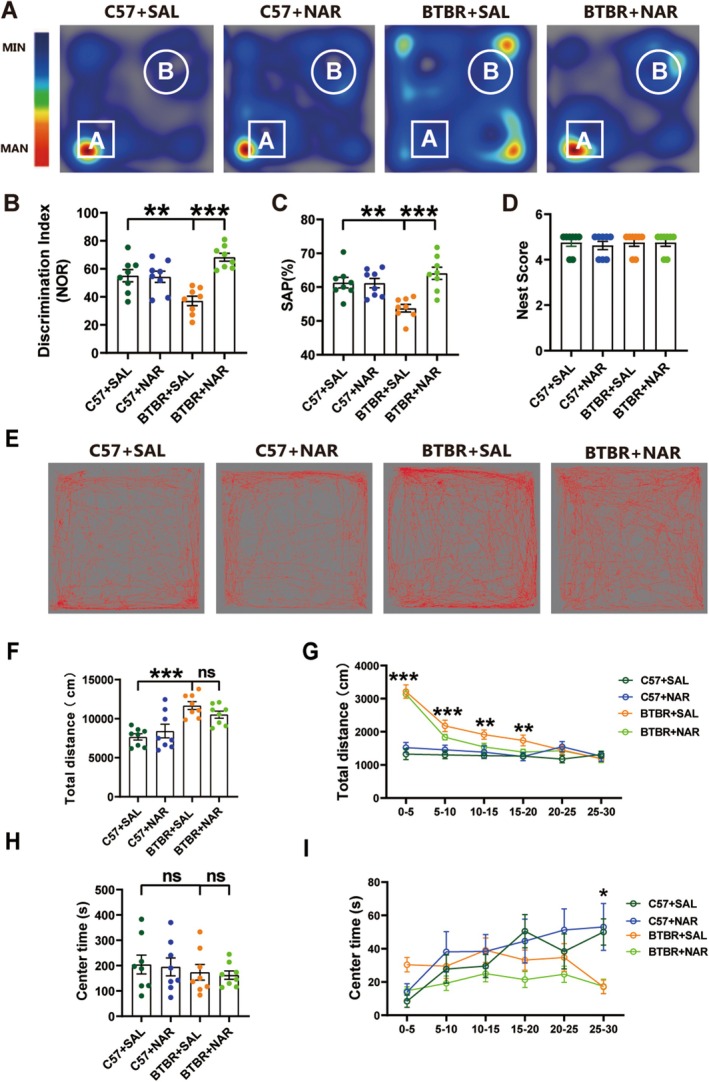 Naringin treatment rescued cognitive impairment but did not influence locomotor ability or anxiety behaviors in BTBR mice. (A) Representative heat maps showing the total time and position of C57 and BTBR mice in a novel object recognition test. “A” and “B” represent novel and familiar objects. (B) The recognition index of BTBR mice was lower than that of C57 mice, but this difference was reversed by naringin treatment. (C) The SAP of the BTBR was lower than that of C57 mice in the Y maze test, which was reversed by naringin treatment. (D) Nest score in nesting test of four groups of mice. (E) Representative trajectory diagrams illustrating the movement of four groups of mice within a 30‐min duration during the open‐field test. (F) Total distance traveled in 30 min. (G) The total distance is over 30 min in 5‐min bins. (H) The center time traveled in 30 min. (I) The center time is over 30 min, divided into 5‐min increments. Data are expressed as mean ± SEM. N = 8. *p < 0.05, **p < 0.01, ***p < 0.001.