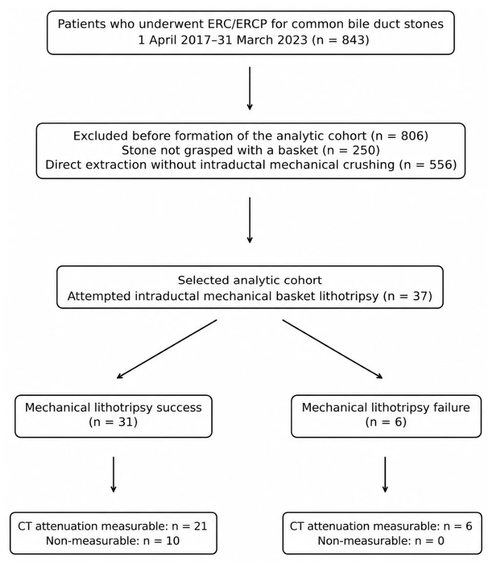 Participant flow diagram. Patients who underwent ERC/ERCP for common bile duct stones between 1 April 2017 and 31 March 2023 were screened (n = 843). A total of 806 patients were excluded before formation of the analytic cohort because the stone was not grasped with a basket (n = 250) or was extracted directly without intraductal mechanical crushing (n = 556). The selected analytic cohort comprised 37 patients undergoing attempted intraductal mechanical basket lithotripsy: 31 successes and 6 failures. CT attenuation was measurable in 27 patients (21 successes and 6 failures).