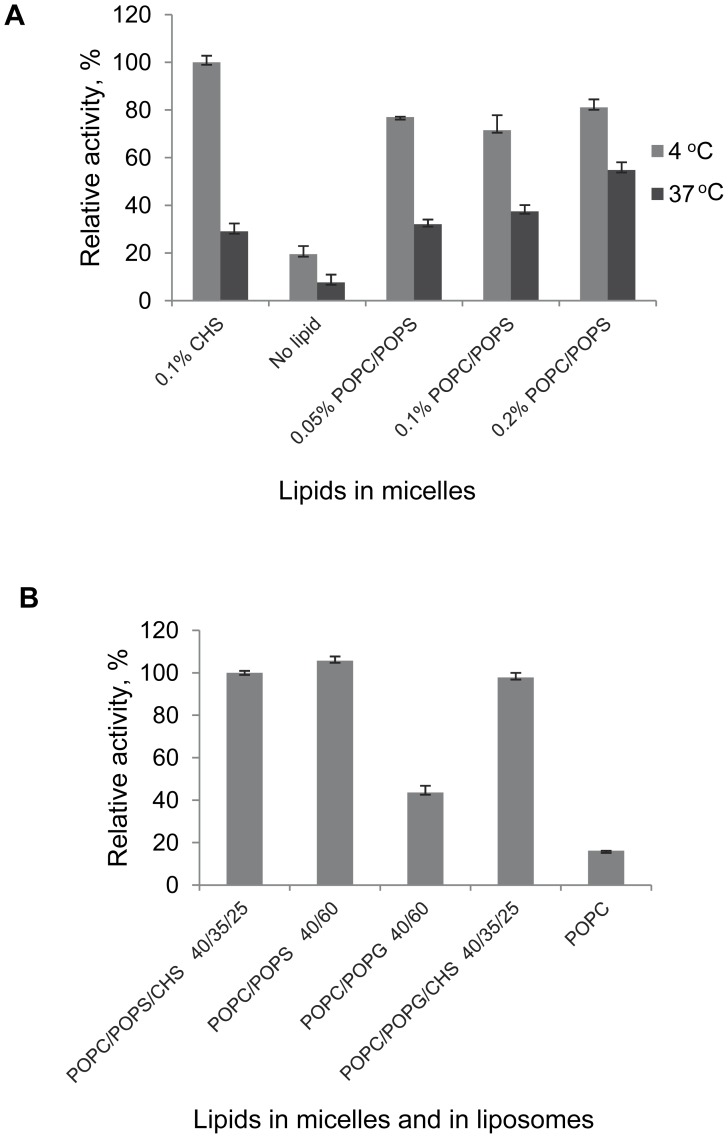 Stabilizing effects of POPC:POPS (1∶1, w/w) in micelles.A, Lipids were added to DDM/CHAPS (0.1%/0.5%) micelles at concentrations indicated. Upon incubation samples were supplemented with POPC:POPS dissolved in 1% CHAPS so that the final protein-to-lipid ratio was the same in all samples (1∶500 mol/mol). Upon reconstitution on a mini-spin detergent-absorbent columns the activity of CB2 was determined by the G protein activation assay and reported as % of the maximal activity measured for this series of samples. The liposomes-reconstituted receptor (0.1% CHS in micelles, POPC/POPS/CHS 60∶15:25 in liposomes) exhibiting the highest levels of activation in this experiment was used as an activity standard. B, Purified CB2 in DDM/CHAPS/CHS micelles was captured on Ni-NTA, detergent buffer rapidly exchanged to DDM/CHAPS containing 0.4% of lipids of indicated composition, protein eluted with imidazole and liposome-reconstituted by rapid dilution. Functional activity of CB2 reconstituted into POPC/POPS/CHS matrix is set as 100% of activity. Figures depict data ± SD (error bars) of duplicate determinations from representative experiments (n = 2-3).
