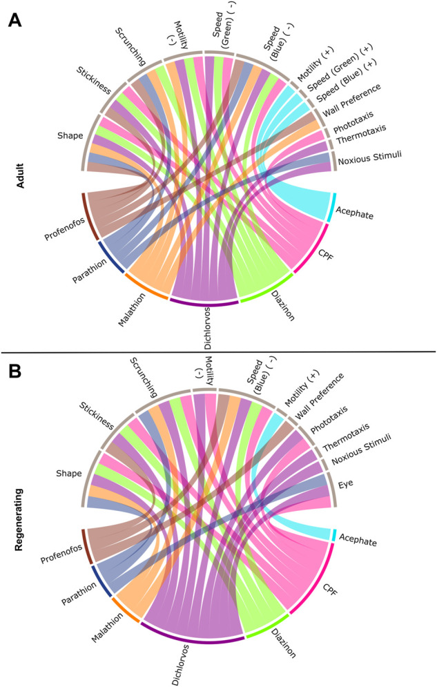 Connections between individual OPs and classes of endpoints. Interaction of the seven OPs with the different endpoint classes for (A) adult and (B) regenerating planarians. Connections were made if the OP caused a hit at either day 7 or 12 at any tested concentration. Effects on speed in the dark period, resting, or locomotor bursts were combined into the “Motility” category. Speed(B): speed in the blue period, Speed(G): speed in the green period, PT: Phototaxis, NS: noxious stimuli. For endpoints that had effects in both directions, the BMCs are separated by either the positive (+) or negative (-) direction.
