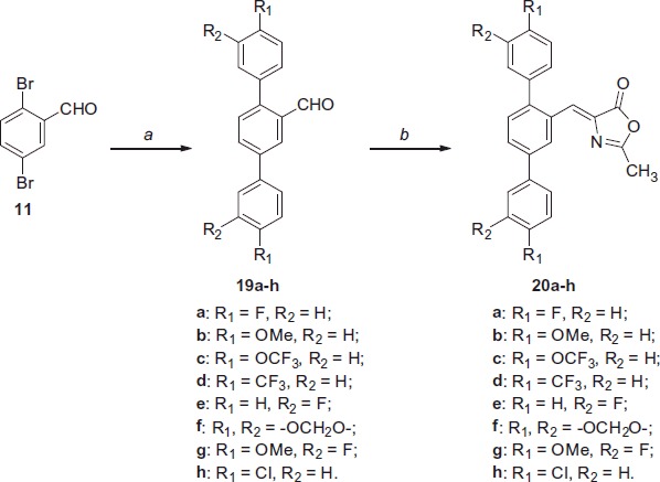 Reagents and conditions: (a) variously substituted phenylboronic acid, Pd(OAc)2, PPh3, aq. 2 M Na2CO3, toluene, EtOH, 100 °C; (b) N-acetylglycine, Ac2O, CH3COONa, reflux.