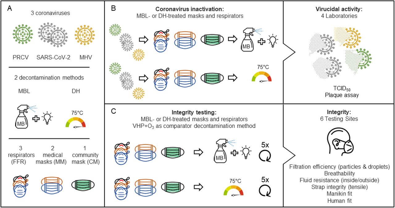 Graphical representation of the DeMaND study outline.(A) Overview of the coronaviruses, decontamination methods and masks used. (B) FFRs, MMs andr a CM were inoculated with virus and treated with either MB and light (MBL) or dry heat (DH). Remaining infectious virus was quantified using TCID50 or plaque assays. (C) In parallel with the virucidal testing of MBL and DH treatments, intact FFRs/MMs/CMs were subjected to 5 cycles of decontamination before mask integrity/fit was tested using the indicated methods. Abbreviations: PRCV = porcine respiratory coronavirus, SARS-CoV-2 = severe acute respiratory syndrome coronavirus 2, MHV = murine hepatitis virus, MBL = methylene blue + light, DH = dry heat (75°C), VHP+O3 = vaporized hydrogen peroxide plus ozone. See Supplemental Table S1 for the respirator and mask decontamination and testing matrix.