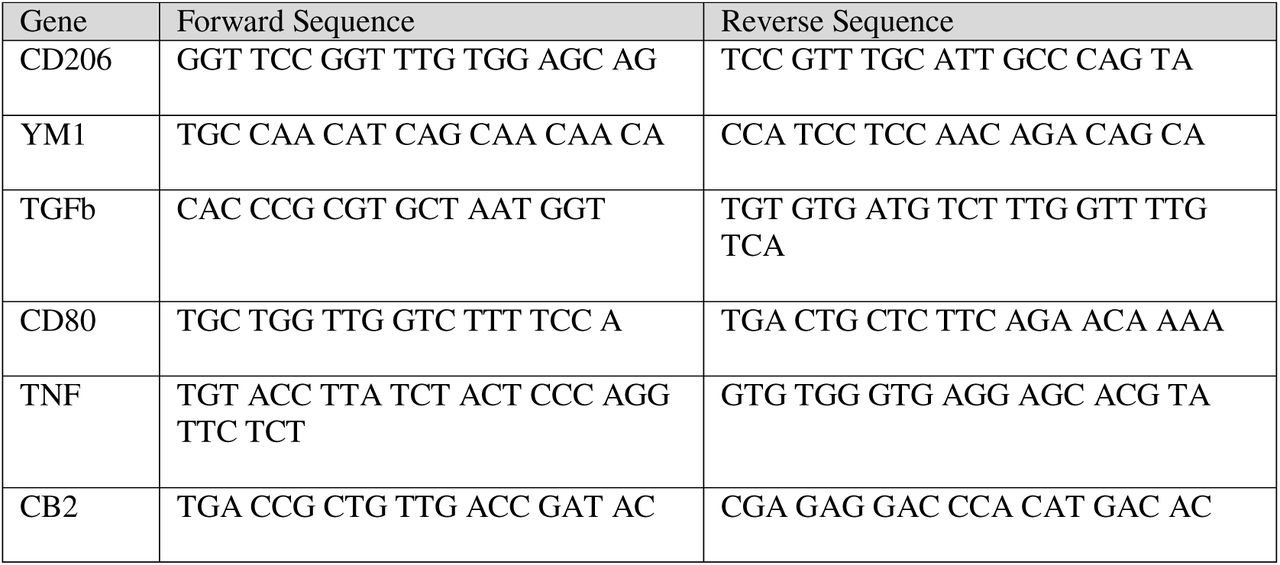 List of rat primers