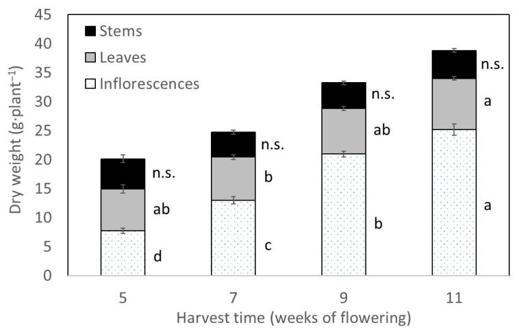 Least square means (±standard error) of dry weights (g·plant−1) of stems, leaves and inflorescences for each of the four harvest times (weeks of flowering). For each plant organ, means with at least one identical letter are not significantly different from each other according to Fisher´s LSD test with α = 0.05. Values for stems are not significantly (n.s.) different from each other according to global F-test.