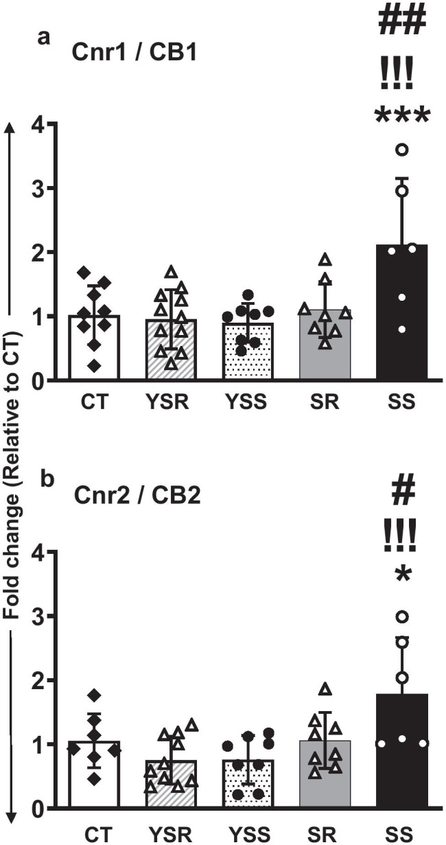 Altered rat hippocampal mRNA expression of cannabinoid receptors (CB/Cnr) as a result of METH SA followed by contingent footshocks. Quantitative RT-PCR (qRT-PCR) data on the mRNA expression of the cannabinoid receptors, CB1/Cnr1 (a) and CB2/Cnr2 (b). One-way ANOVA analysis of the data revealed significant changes in CB1/Cnr1 expression (p = 0.0001) and CB2/Cnr2 expression (p = 0.0017). Post hoc analyses showed significant increases in both receptor mRNA levels in the SS group compared to the CT, YSS, and SR groups. Key to statistics: **P < 0.01, ***P < 0.001, compared with controls; !!!P < 0.001, comparison to yoked shock sensitive (YSS); #P < 0.05, ###P < 0.001, comparison to compulsive METH (SR) group
