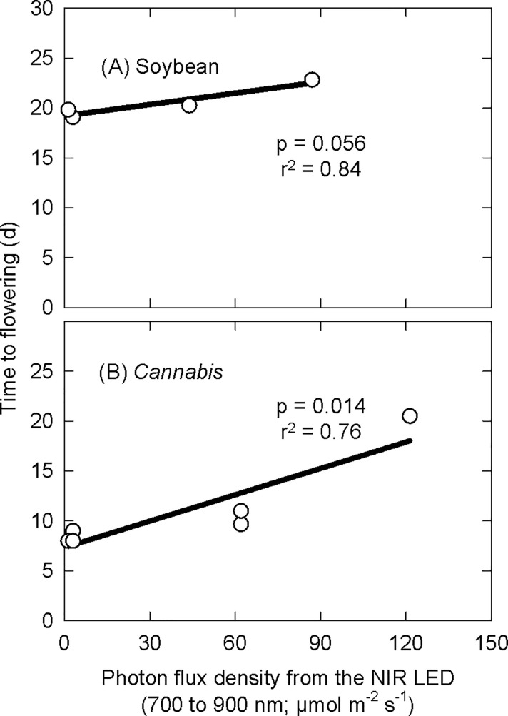 Effect of photons (700 and 900 nm) on time to flowering in (A) soybean and (B) Cannabis. Data points are the average effect within each treatment.