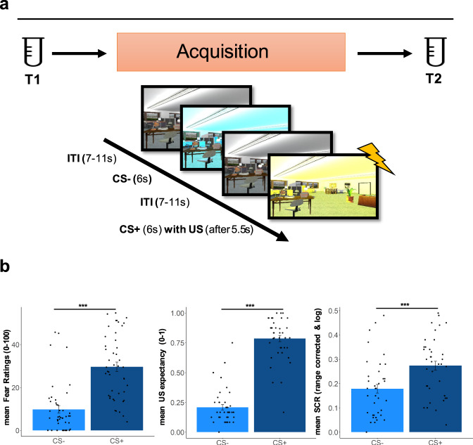 Design and plasma sampling overview.a Illustration of the plasma sampling of AEA, 2-AG and AA (T1-T2) during acquisition phase of the context-dependent cue conditioning paradigm. Plasma concentration were sampled before (T1) and directly after (within 5 min) (T2) acquisition training (N = 45). Participants also underwent extinction training on Day2 (including eCB sampling) and a retention-test, as well as a reinstatement procedure on Day3, which was part of another study [31] (see Supplementary Methods). b Illustration of the mean responses to the CS + and the CS- during acquisition training measured as fear ratings, US expectancy, and skin conductance response (SCR). RmANOVAs of each outcome measure indicated a differentiation between the CS+ and the CS-, with higher responses to the CS + as compared to the CS- (Bonferroni-Holm corrected post-hoc tests all ps < 0.001; see Table S1). Analyses of fear ratings and US-expectancy, but not SCRs, further revealed an interaction between CS-type and time (fear ratings (N = 45), p < 0.001; US-expectancy (N = 41), p < 0.001; SCR (N = 42), p = 0.364) reflecting a steeper increase in responses to the CS+, as compared to the CS- during acquisition (see Table S1).