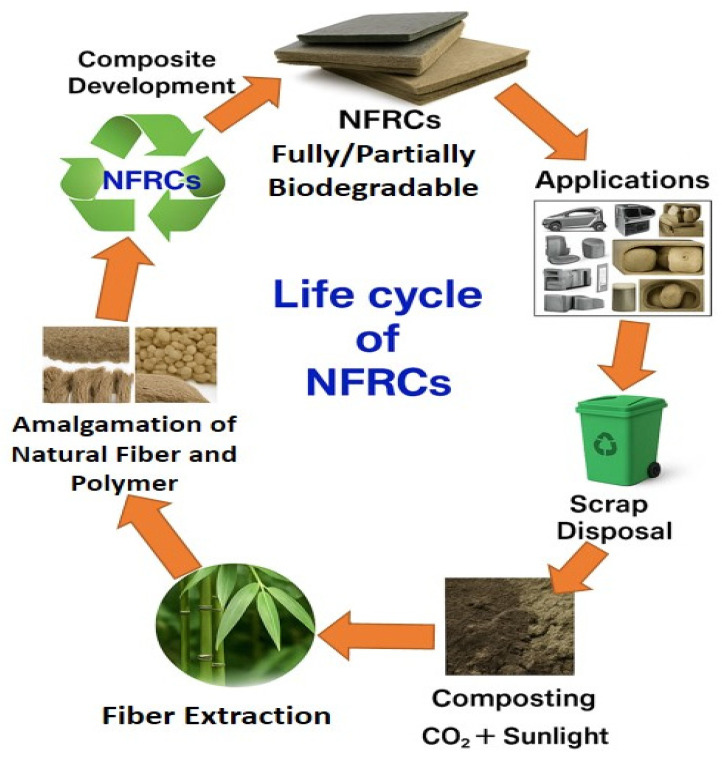Life cycle of natural fiber-reinforced composites (NFRCs) (diagram drawn by the authors).