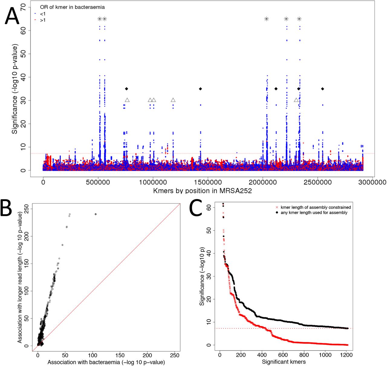Confounding of kmer study by sequencing read length.(A) Manhattan plot of kmers associated with phenotype in study of 2001 isolates. Kmers are mapped to reference genome and plotted against statistical significance of association with case-control-status. Kmers found more frequently in carriage are mapped in blue, kmers found more frequently in bacteraemia are mapped in red. A Bonferroni corrected threshold for significance is plotted in red (10−7.3). The positions of several repeat regions are marked: 16S rDNA (*), ISS (Δ) and ISSSau3 (♦). (B)The kmers most associated with bacteraemia-vs-carriage were confounded with sequence length. We plotted significance of association with both bacteraemia-vs-carriage (X axis) and sequencing read length (Y axis), using a χ2 test, without correction for population structure. (C) Kmer detection and association testing with GEMMA was repeated, this time on new assemblies, built using Velvet with a maximum kmer length of 79bp. The signal of the most significant kmers based on the original assemblies (black) dropped to below statistical significance when the assemblies were built with a constrained kmer length (red).