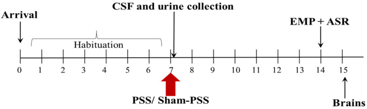 Timeline of the experiment after a 7-day habitation period; rats were exposed to predator scent stress (PSS)/sham PSS. Cerebrospinal fluid (CSF) samples were collected 60–120 min after PSS for evaluated levels of 2-arachidonoyl glycerol (2-AG) and anandamide (AEA). Urine corticosterone levels 60–120 min following exposure were also monitored. Behavioral assessments were conducted 7 days post-exposure to PSS, first in the Elevated Plus Maze (EPM) paradigm, and, 1 h later, in the Acoustic startle response (ASR) paradigm; on the following day, rats were executed and their brains were harvested for analysis.