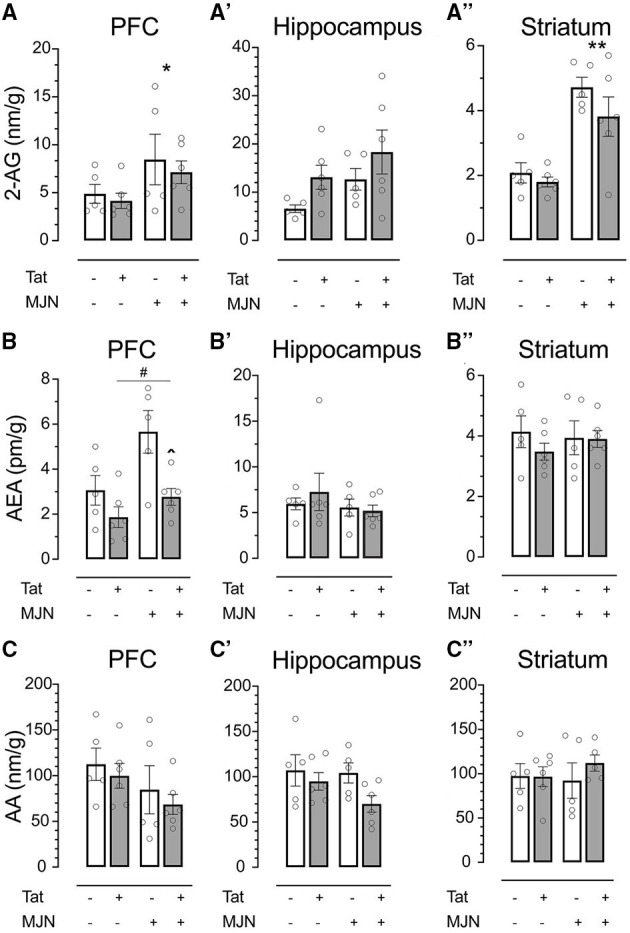 (A) MJN110 treatment significantly increased PFC 2-AG levels across genotypes. (A') Neither Tat nor MJN110 significantly affected hippocampal 2-AG levels. (A”) MJN110 significantly increased striatal 2-AG levels across genotypes. (B) Tat(+) subjects across treatment groups had significantly lower PFC AEA levels relative to Tat(–) controls. MJN110 significantly increased PFC AEA in Tat(+) subjects. No significant differences in hippocampal (B') or striatal AEA (B”) were observed between groups. No significant differences in PFC (C), hippocampal (C'), or striatal AA (C”) were observed between groups. Data are mean ± SEM. Statistical significance was determined using ANOVA and Bonferroni correction where applicable. An alpha level of p < 0.05 was considered significant for all statistical tests. *p < 0.05 vs. vehicle treatment; **p < 0.0001 vs. vehicle treatment; ∧p < 0.05 vs. vehicle-treated Tat(+) subjects; #p < 0.01 vs. Tat(−) subjects.