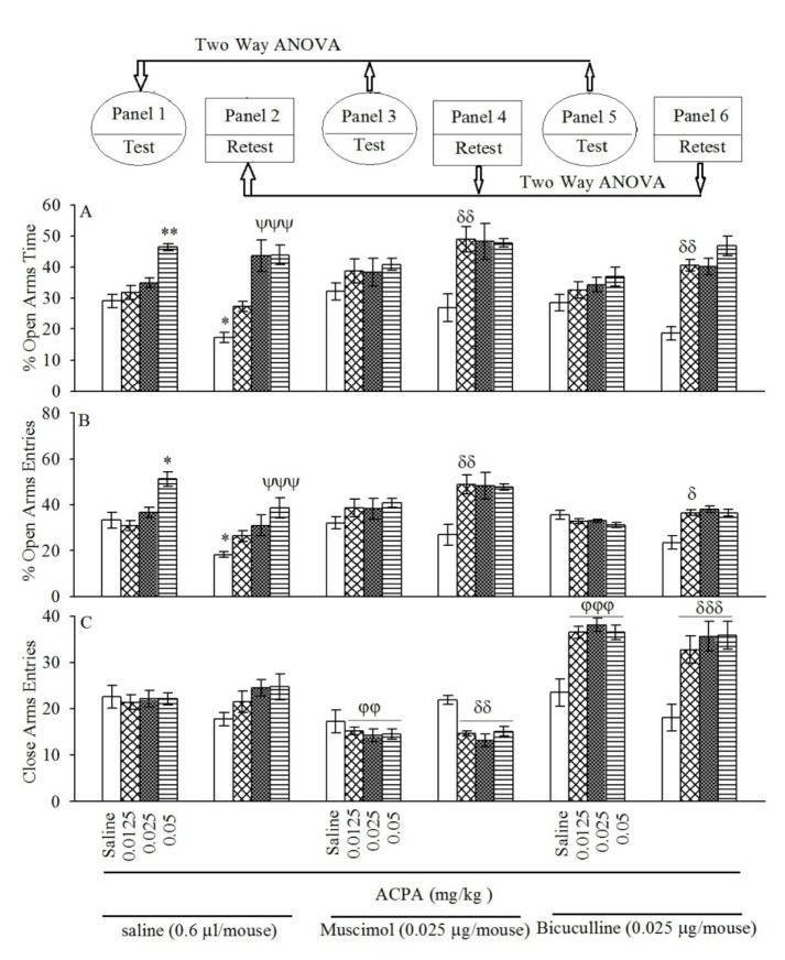 Panels 3 and 4 for muscimol and Panels 5 and 6 for bicuculline show the effect of intra-BLA pre-testing injection of sub-threshold dose muscimol and bicuculline on open-arms exploratory-like behavior induced by both sub-threshold and effective doses of ACPA. After 24 h, all groups were retested in the EPM un-drugged which showed by %OAT (A), %OAE (B) and CAE (C). Values are expressed as mean±S.E.M (n = 8 in each group). *P < 0.05 and **P < 0.01 different from saline group in the Panel 1. ψψψP < 0.001 different from saline group in Panel 2. For panels 3 φφ < 0.01 and φφφ < 0.001 are compared to respective group in the Panel 1, while δ < 0.05, δδ < 0.01 and δδδ < 0.001 are compared to the respective group in the Panel 2.