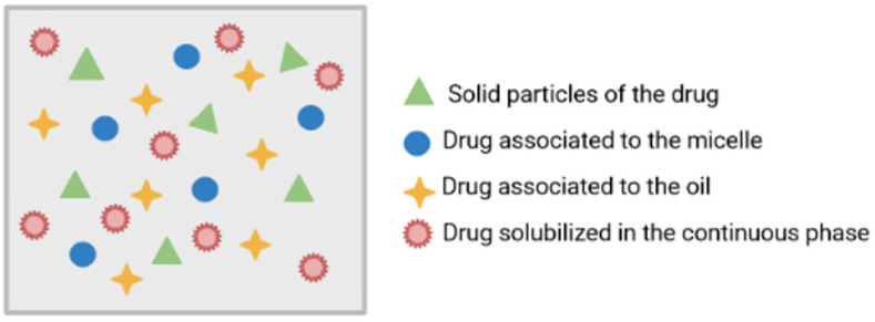 Schematic representation of the formation of phospholipid micelles, showing the different behaviors of drugs [own drawing].