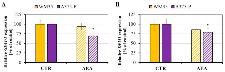 RT-qPCR analysis of GFAT-1 (A) and DPM1 (B) expression in AEA-treated melanoma cells. The investigated cell lines are from the following stages of melanoma progression: RGP site (WM35—yellow) and from the solid tumor site (A375-P—violet). The statistical significance of the p-value below 0.05 (*) was marked on the graph.