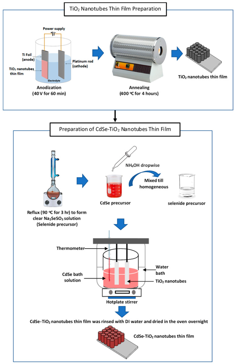 Schematic diagram of the preparation of TiO2 nanotube thin films and CdSe–TiO2 nanotube thin films.