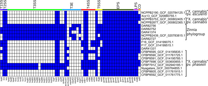 blast results of all ‘X. cannabis’ isolates with ≥70% length similarity, ≥70% alignment similarity and an e-value less ≤1e−10. Blue and white represent the presence and absence of a homologous gene, respectively. Larger labels on the coloured bands represent which virulence system each gene belongs to. CD, cercosporin degradation. NCBI isolates are written as strain name followed by RefSeq database number.