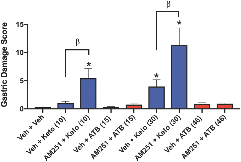 Induction of gastric mucosal hemorrhagic injury by ketoprofen, but not by ATB-352, and a potential role for endogenous cannabinoids in protecting the gastrointestinal tract. Groups of six mice each were treated orally with vehicle, ketoprofen (10 or 30 mg/kg), or equimolar doses of ATB-352, and gastric damage was blindly quantified 5 h later (measurement of areas of hemorrhagic erosions, with histological confirmation). The effects of oral pretreatment with a cannabinoid (CB1) receptor antagonist, AM251 (30 min before ketoprofen or ATB-352), were also examined. Ketoprofen administration caused dose-dependent statistically significant (*p < 0.05) levels of gastric mucosal damage. Pretreatment with the CB1 antagonist markedly increased the severity of ketoprofen-induced gastric damage (βp < 0.05). In contrast, ATB-352 caused negligible gastric mucosal damage, even when the mice were pretreated with the CB1 antagonist. Data were analyzed by one-way ANOVA, followed by the Bonferroni multiple comparison test, and data are presented as the mean ± SEM (n = 6 per group).